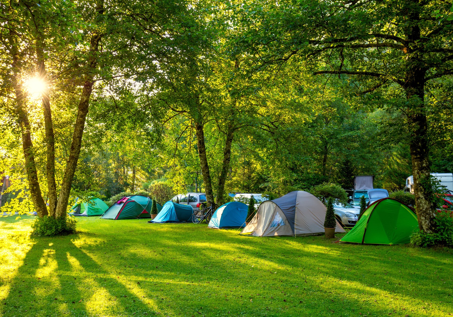 group-camping