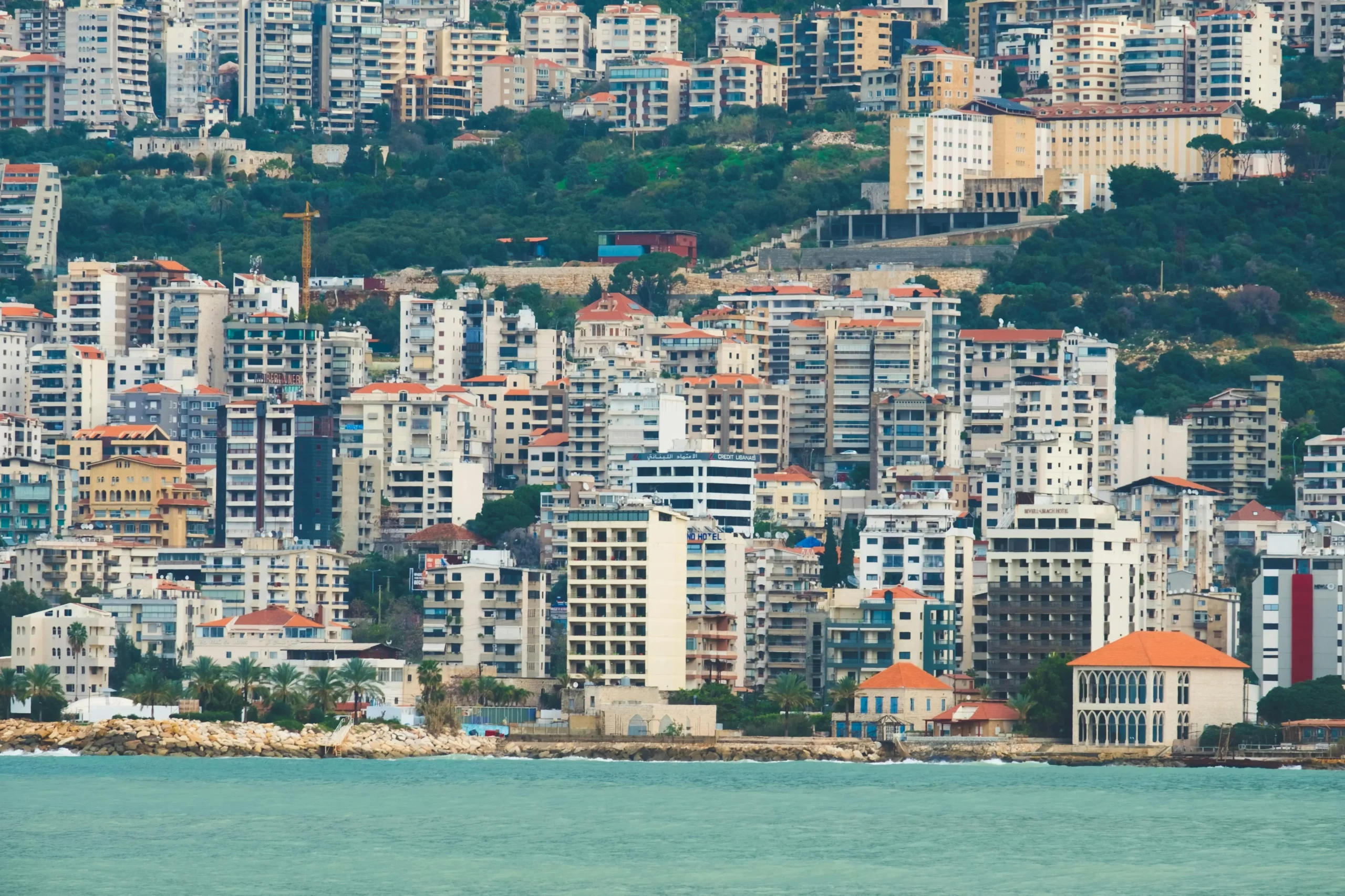 pexels-jokassis-5054925_1-1-scaled