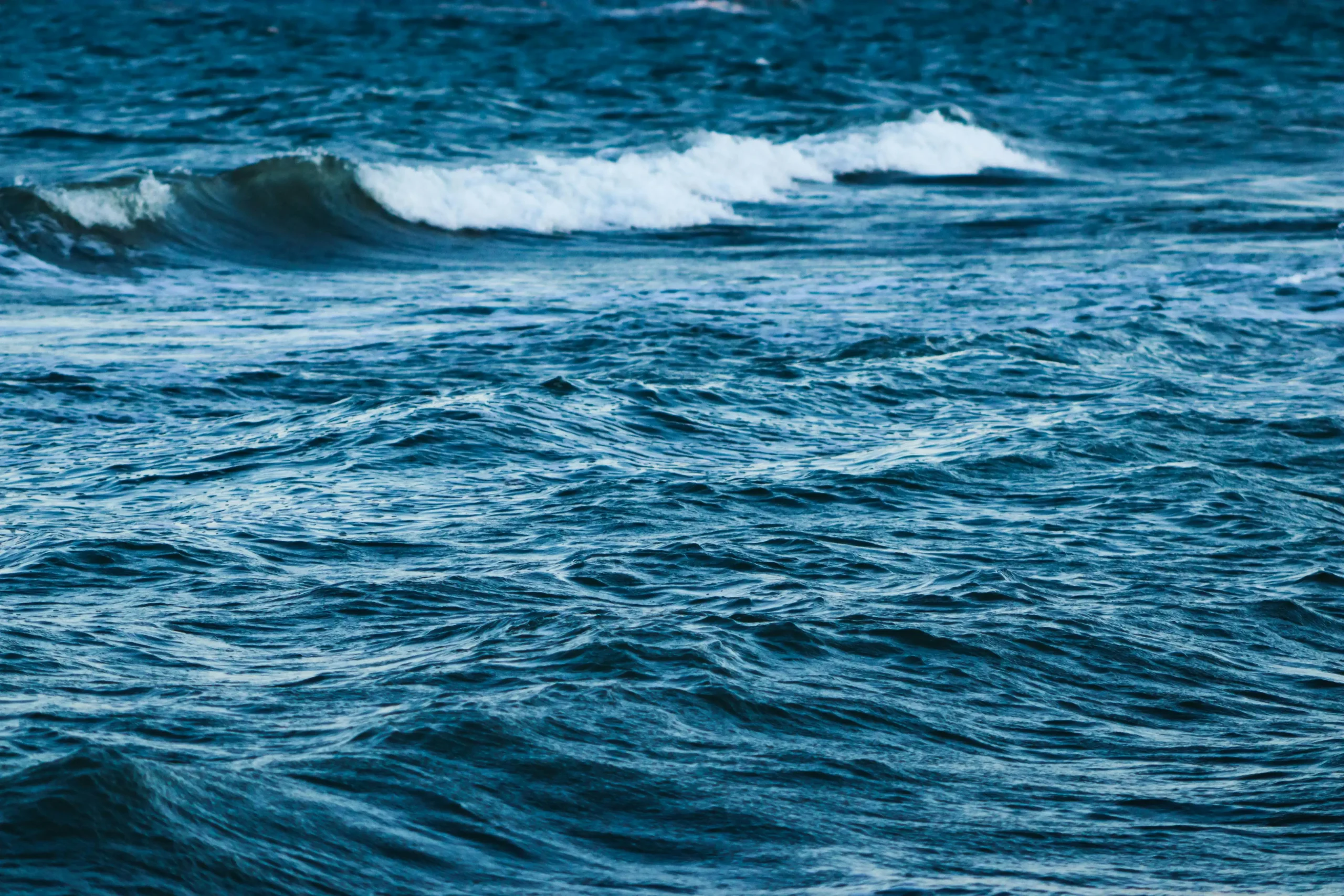 pexels-stonesdonotdisappear-19564400-1-scaled